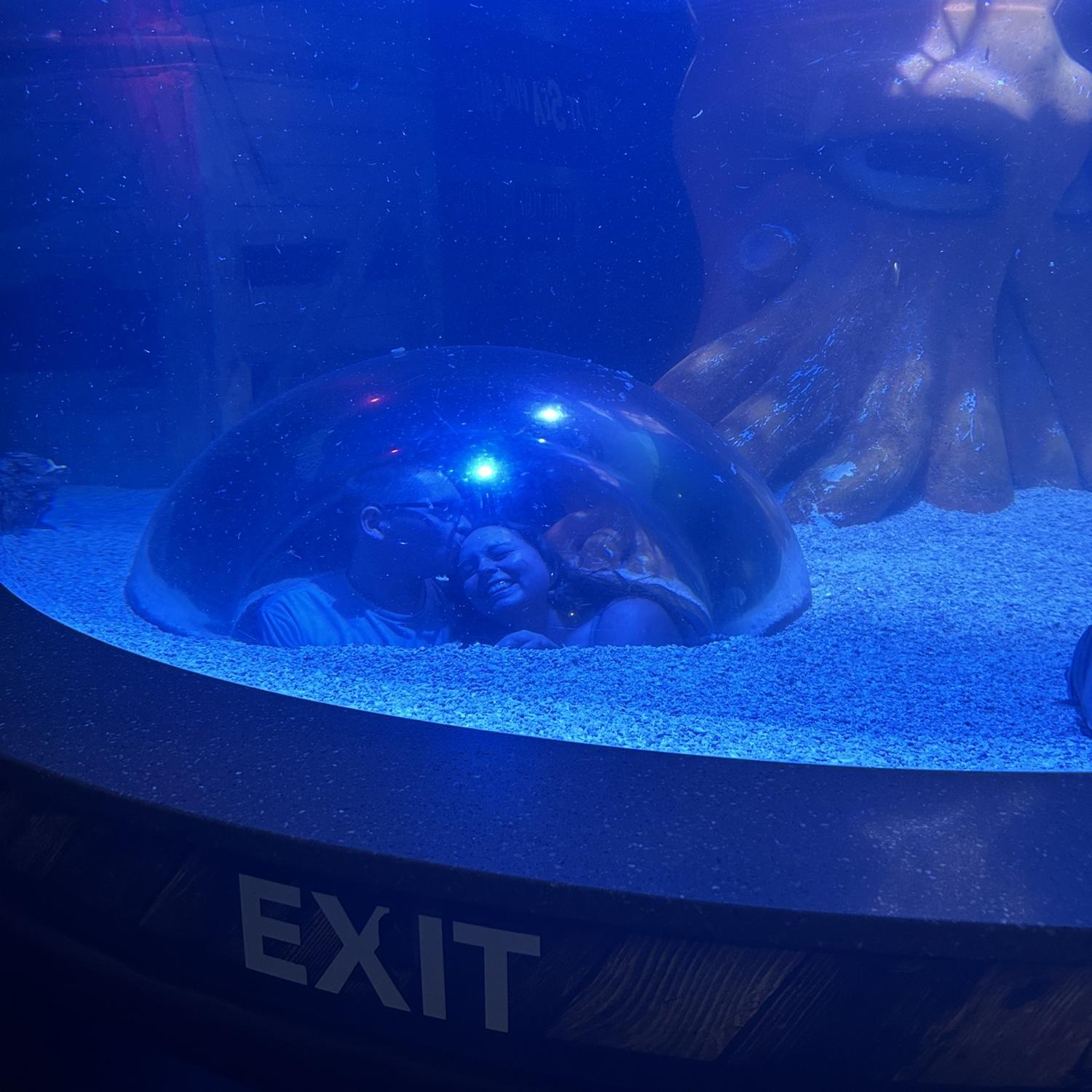 Yay! Myrtle Beach, SC (Ripley’s Aquarium)!