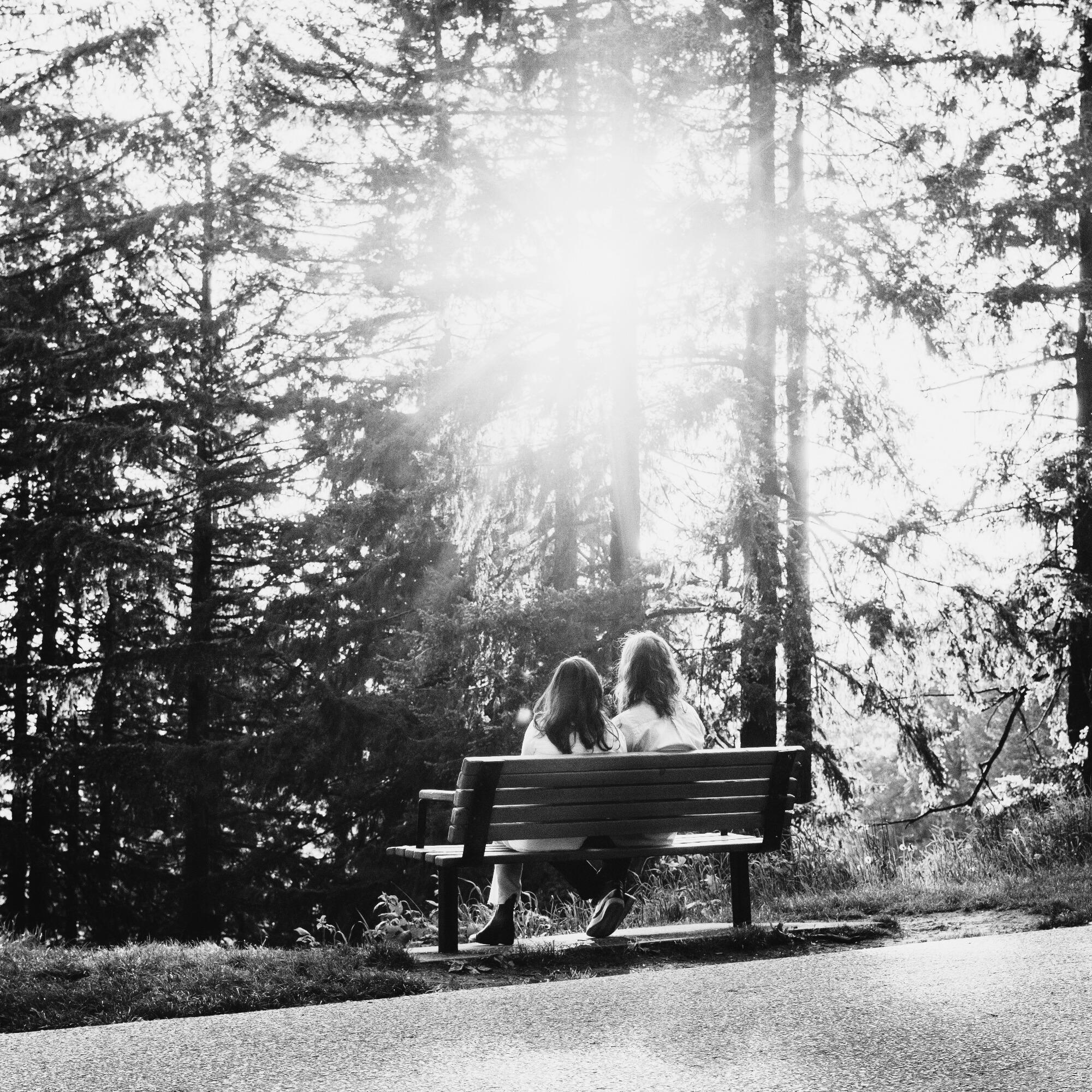 Our Favorite Park