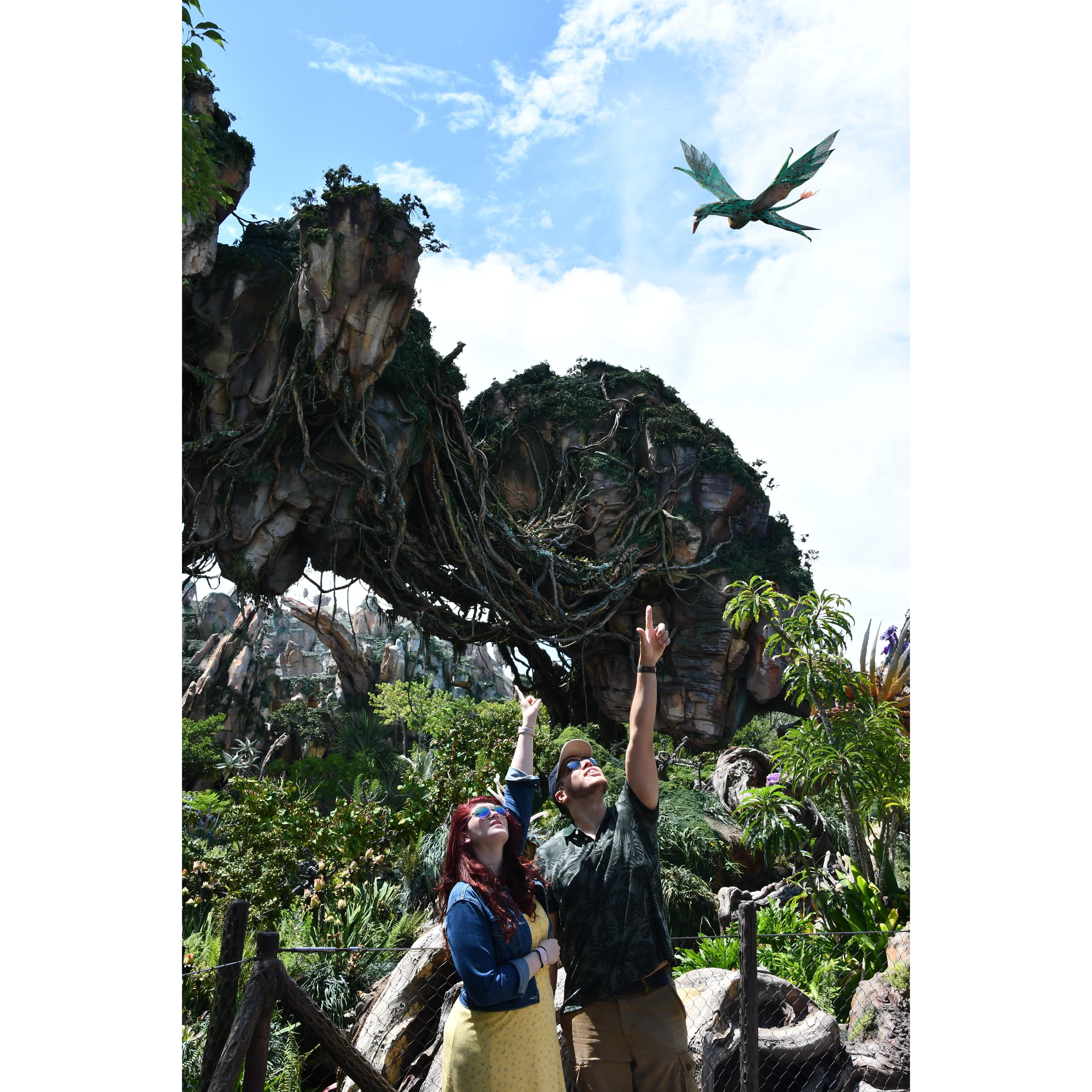 Flight of Passage in Animal Kingdom was one of our favorite rides.