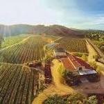 Paso Robles