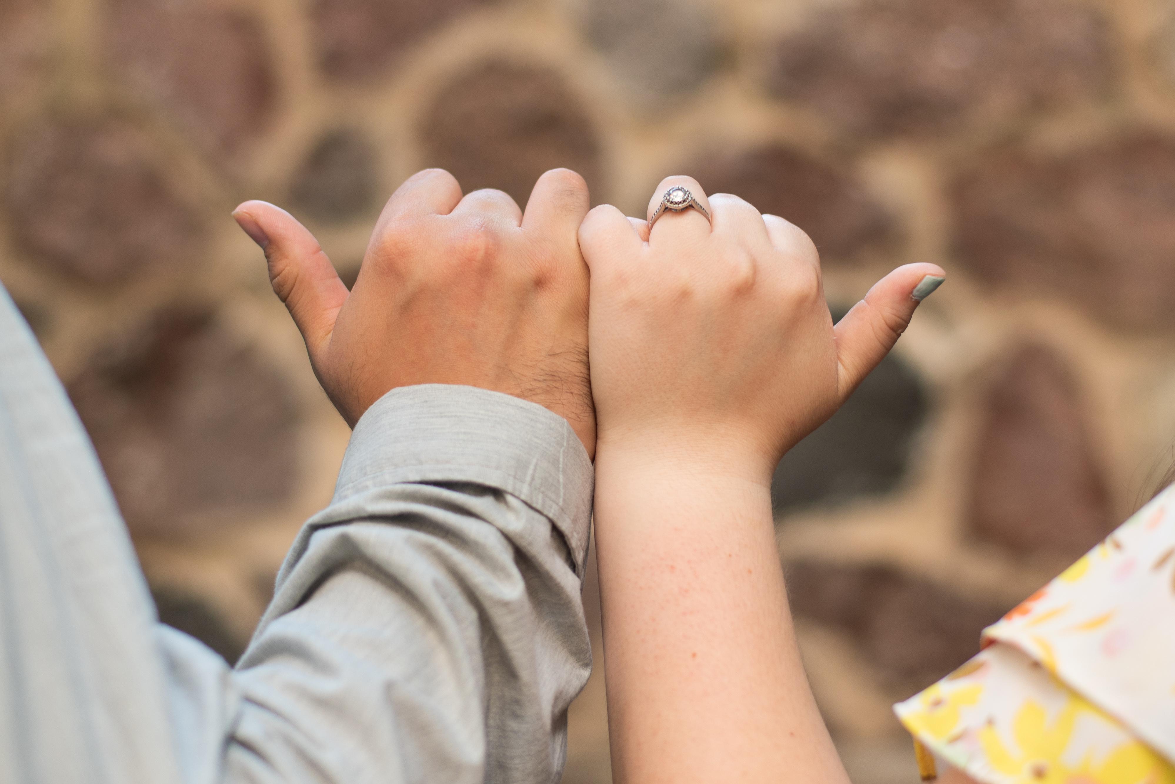 The Wedding Website of Madeline Bisick and Carlos Nolasco-Green