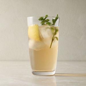 Liza Highball - Set of 8