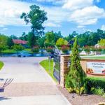 Wild Stallion Vineyards