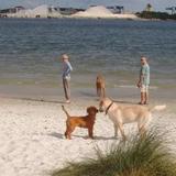Davis Islands Beach