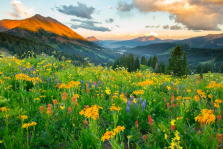 The Wedding Website of Jessa Armstrong and Reid Sanders