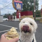 Martha's Dandee Creme