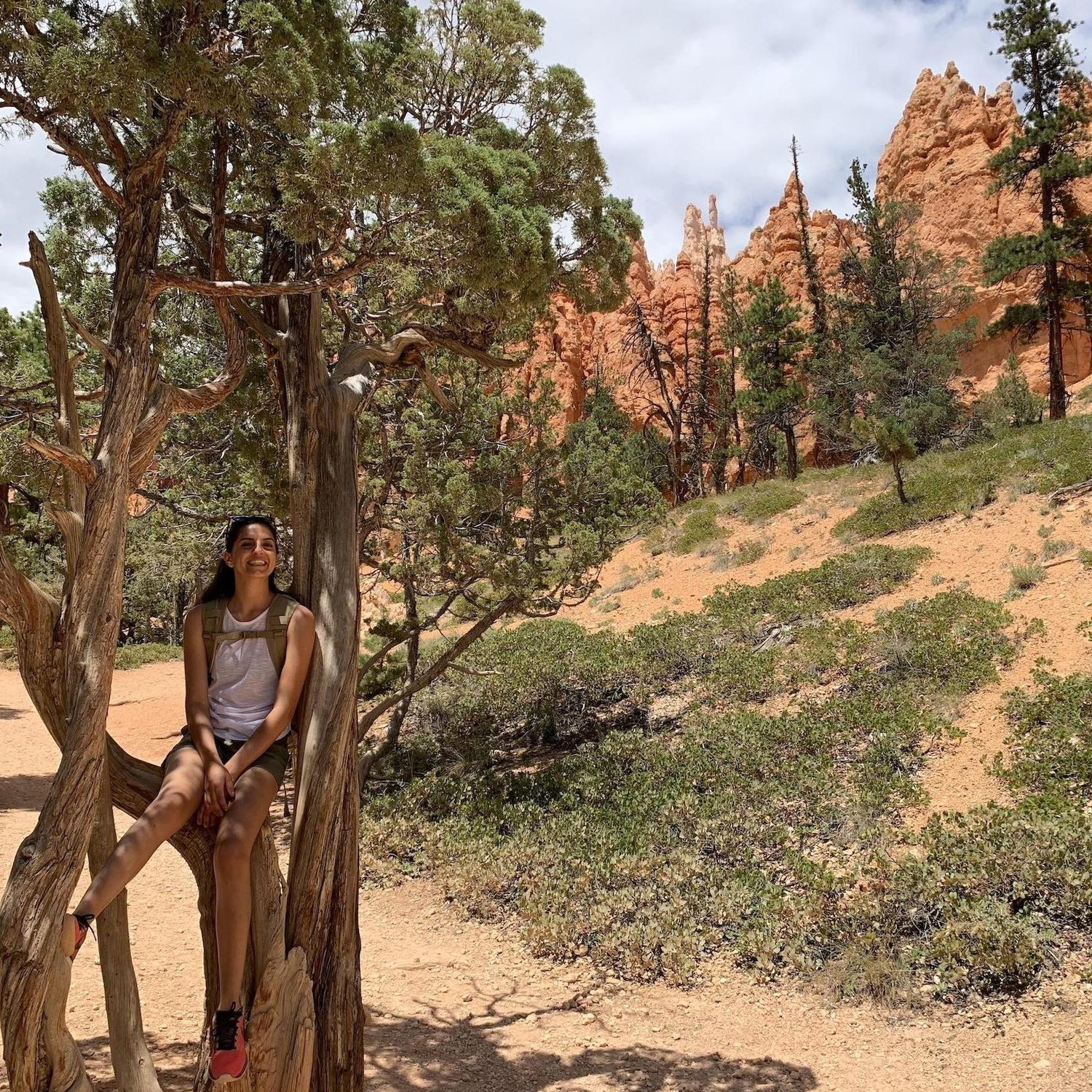 Bryce Canyon, Utah