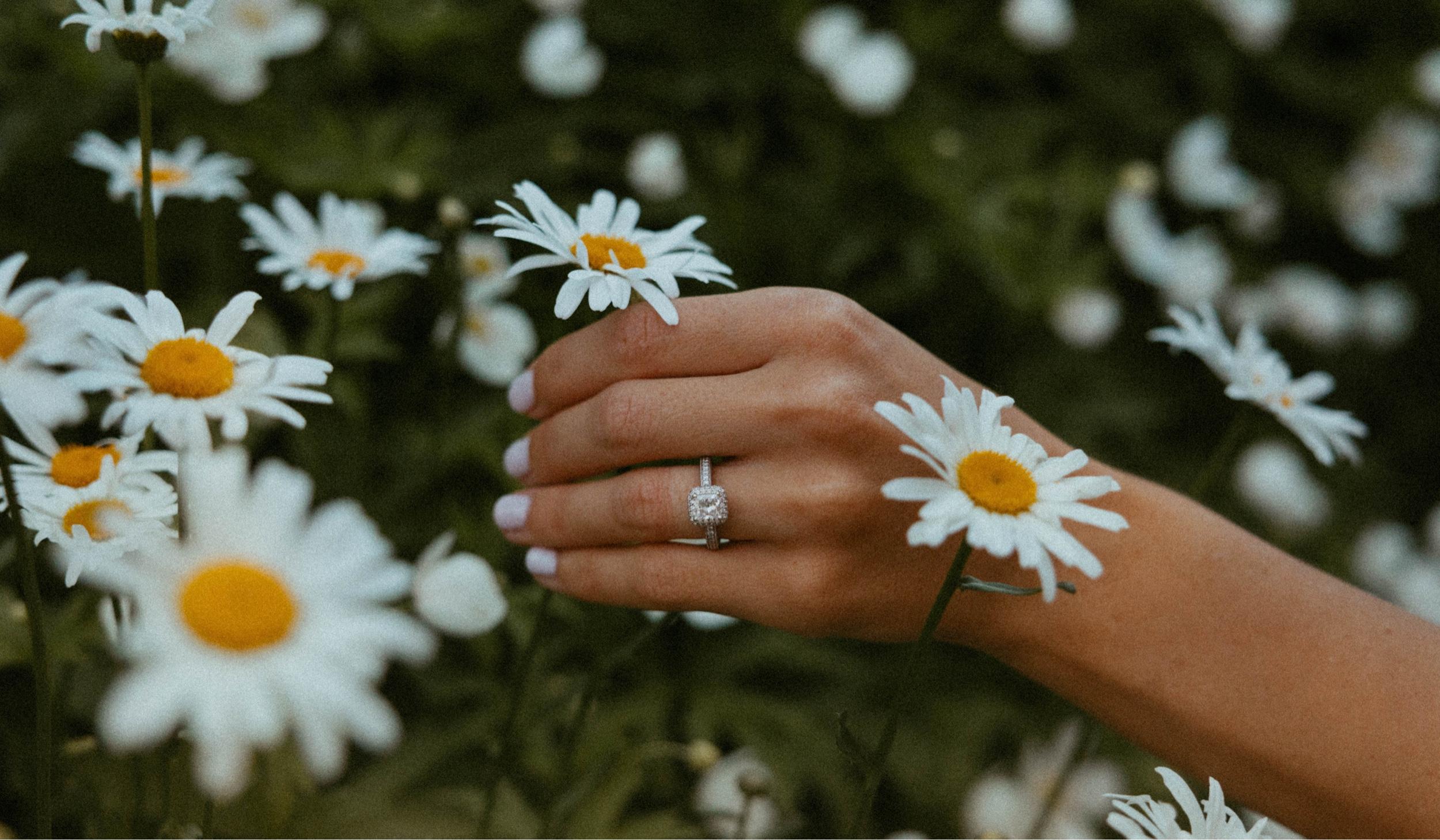 The Wedding Website of Taylor Haley and Jared Clum