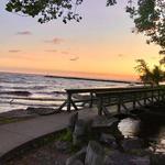 Webster Park