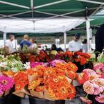 St. Petersburg Saturday Morning Market