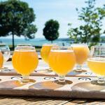 Young Lion Brewing Company