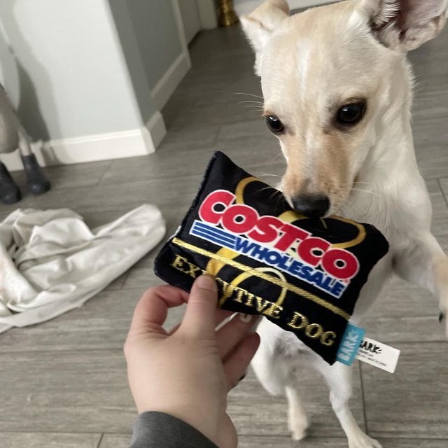 The Costco fund