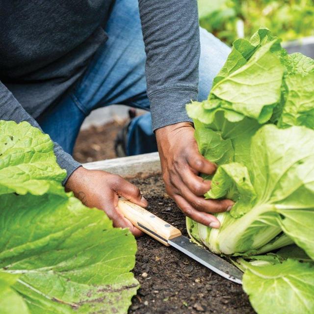 Gardener's Lifetime Hori Hori Knife