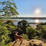 Turkey Mountain Urban Wilderness Area