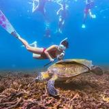 Koh Tao island hopping