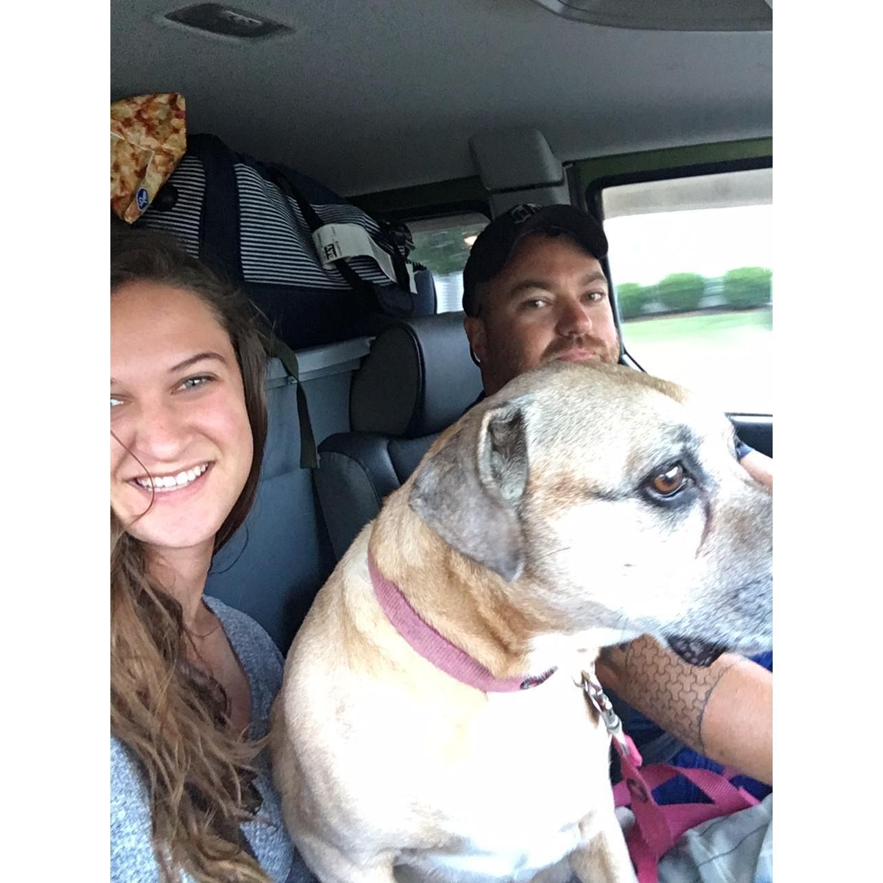 Road trip from Ohio to Seattle! Sydney sat in Monica's lap the entire 3 day drive.
