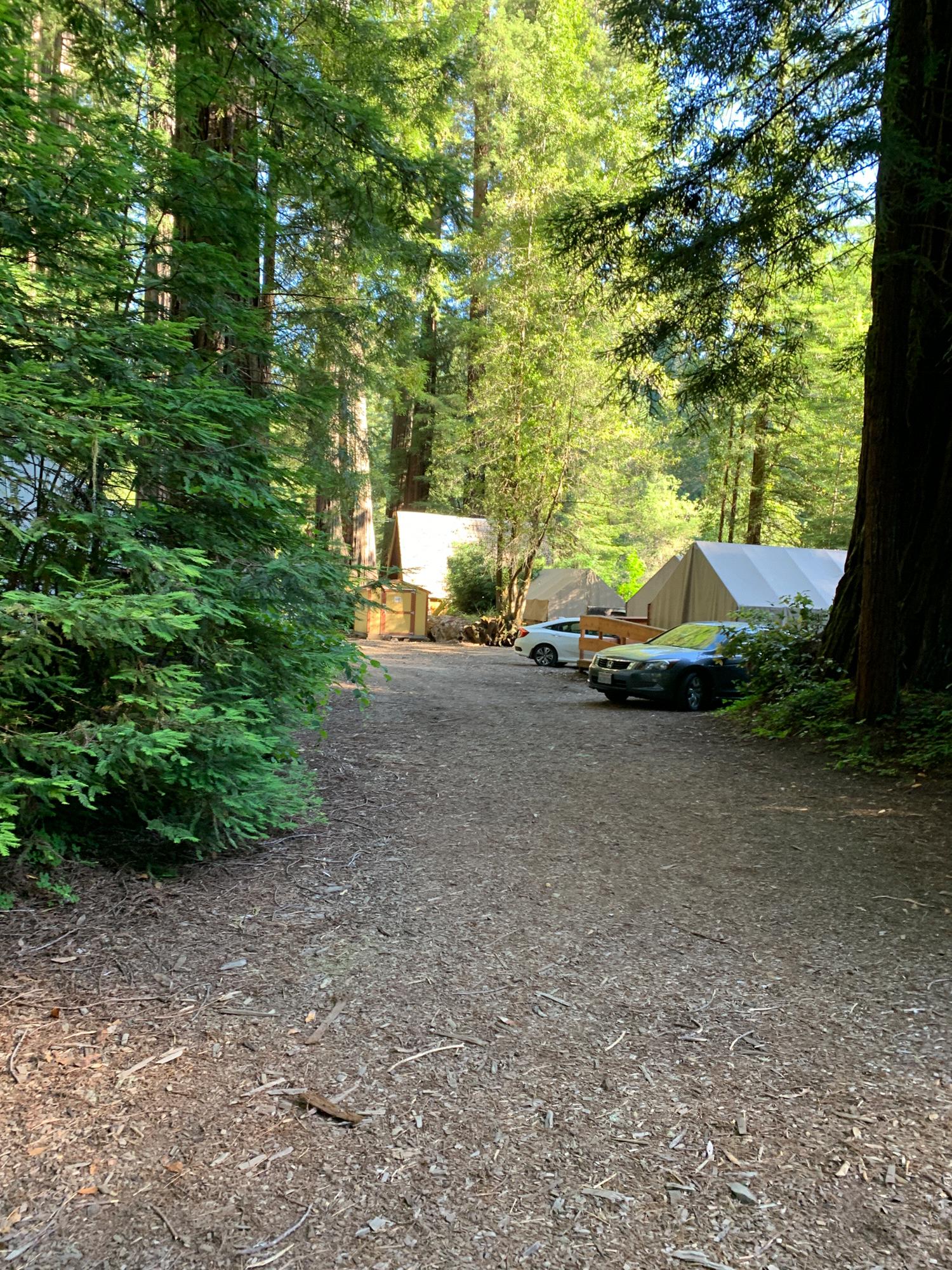 Cazadero Music Camp