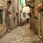 Kotor