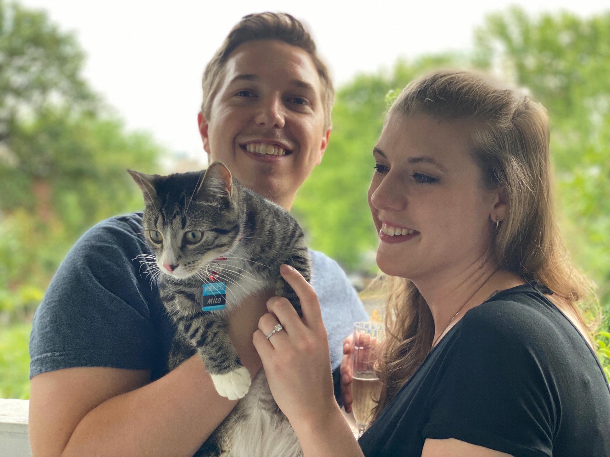 Milo: the cat of honor