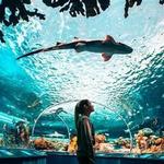 Ripley's Aquarium of Canada