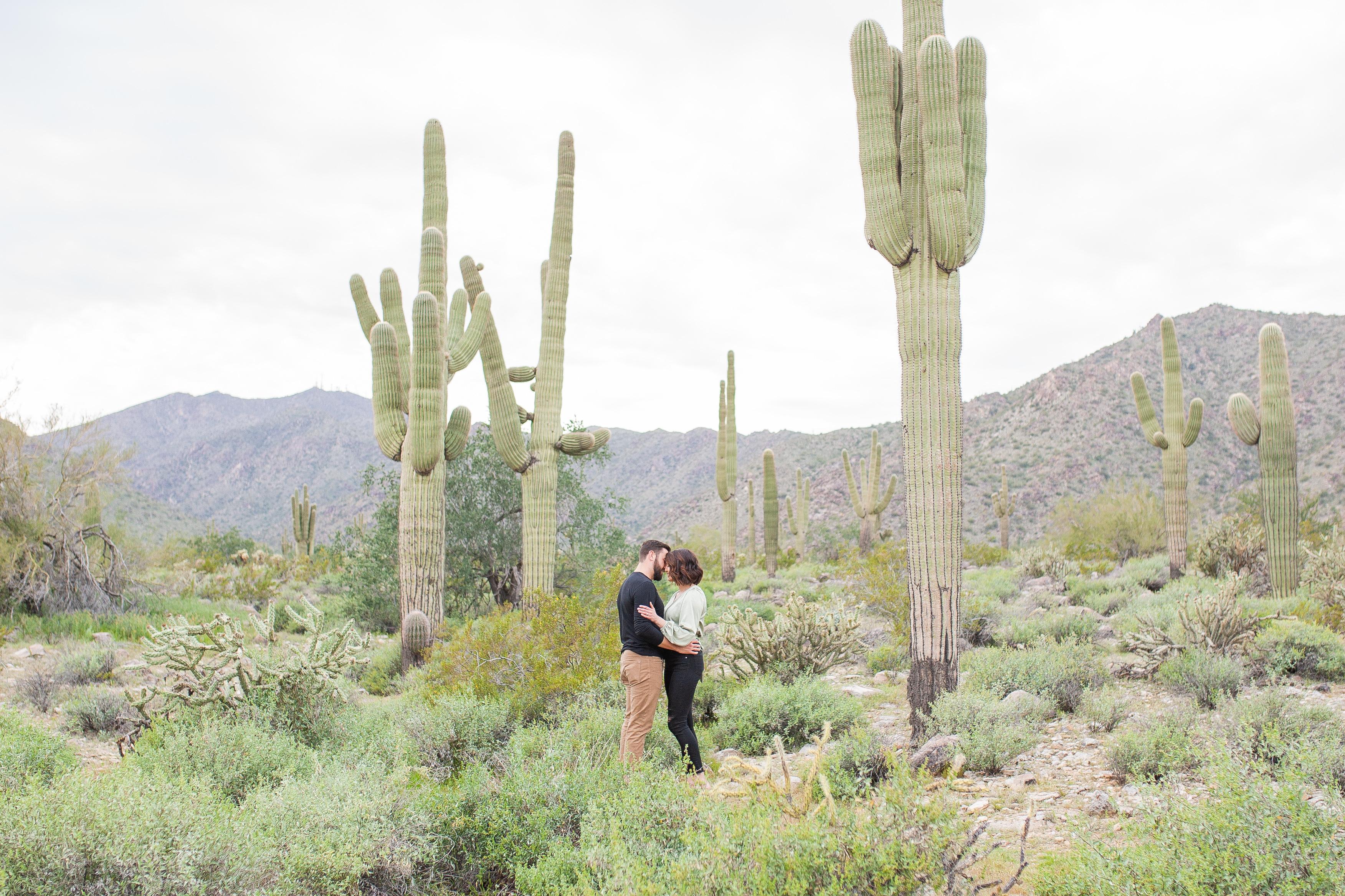 The Wedding Website of Lindsay Johnson and Tony Lambertson