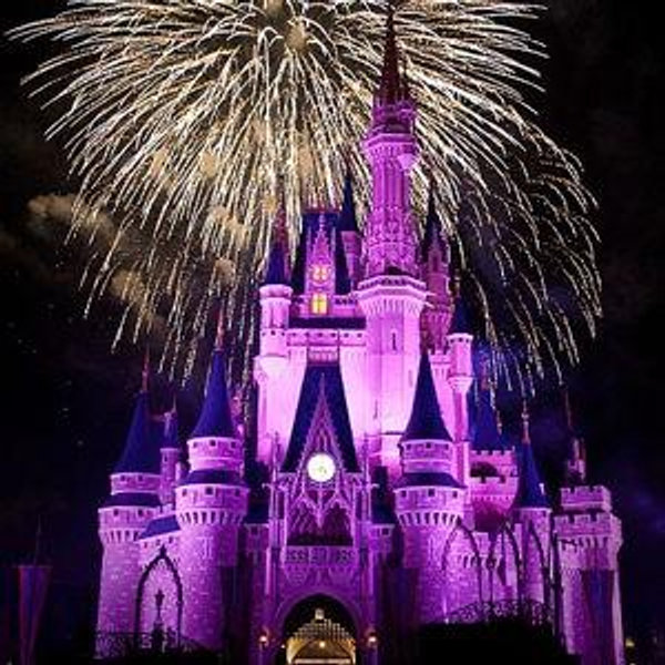 Our Disney World Honeymoon Fund