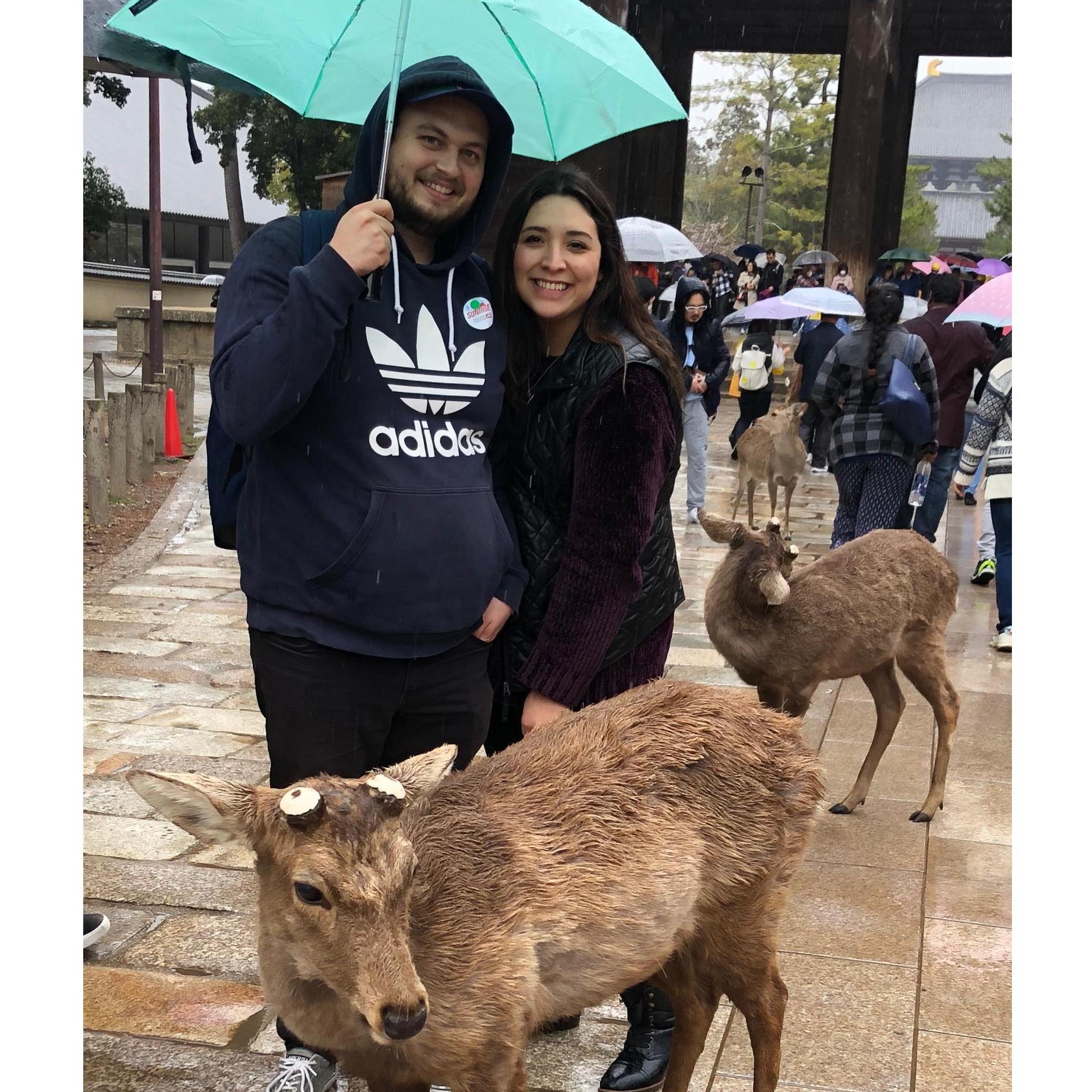 Our Trip to Japan in 2019