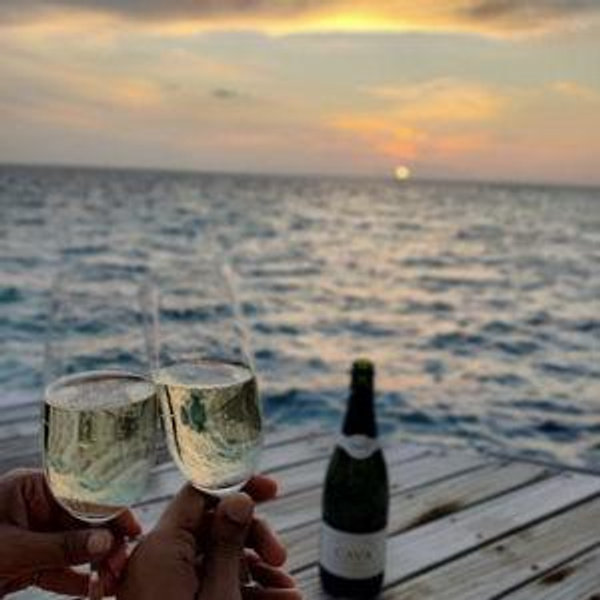 Honeymoon Fund