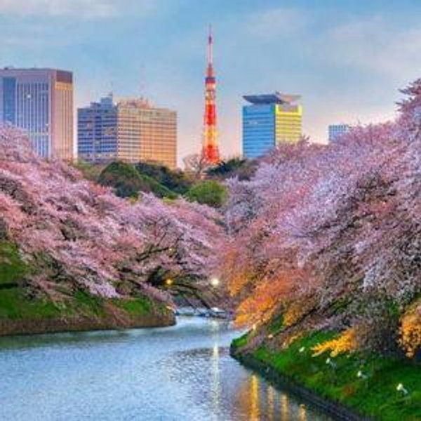 Japan Honeymoon Fund