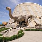 The Children's Museum of Indianapolis