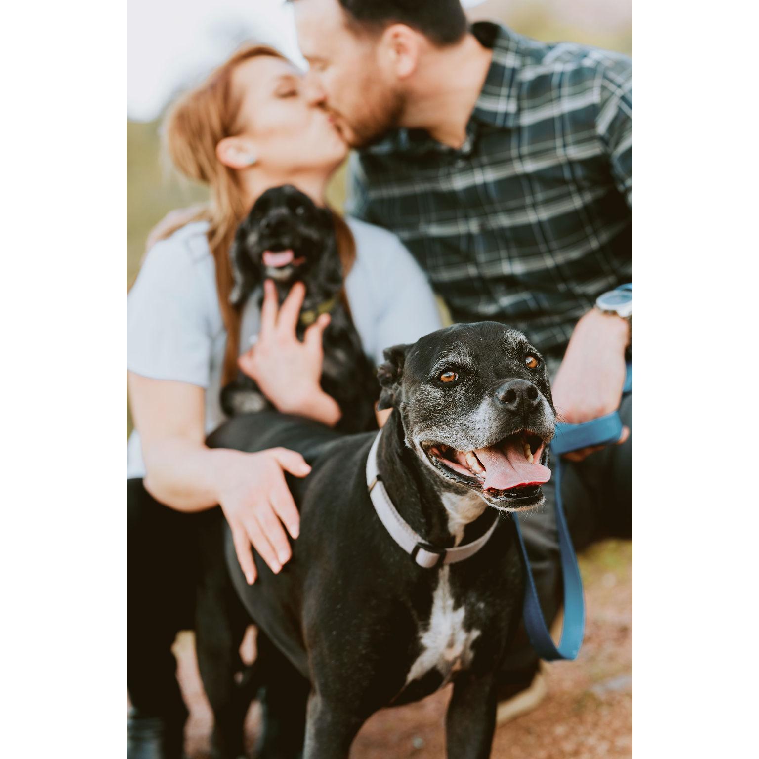 Engagement photos with our children