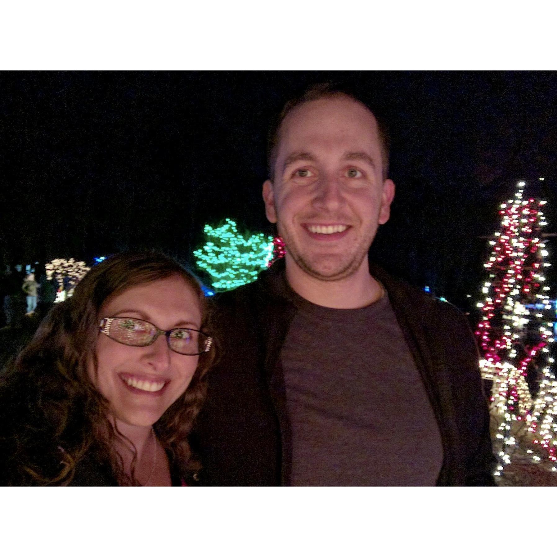 Christmas Lights - December 12, 2016