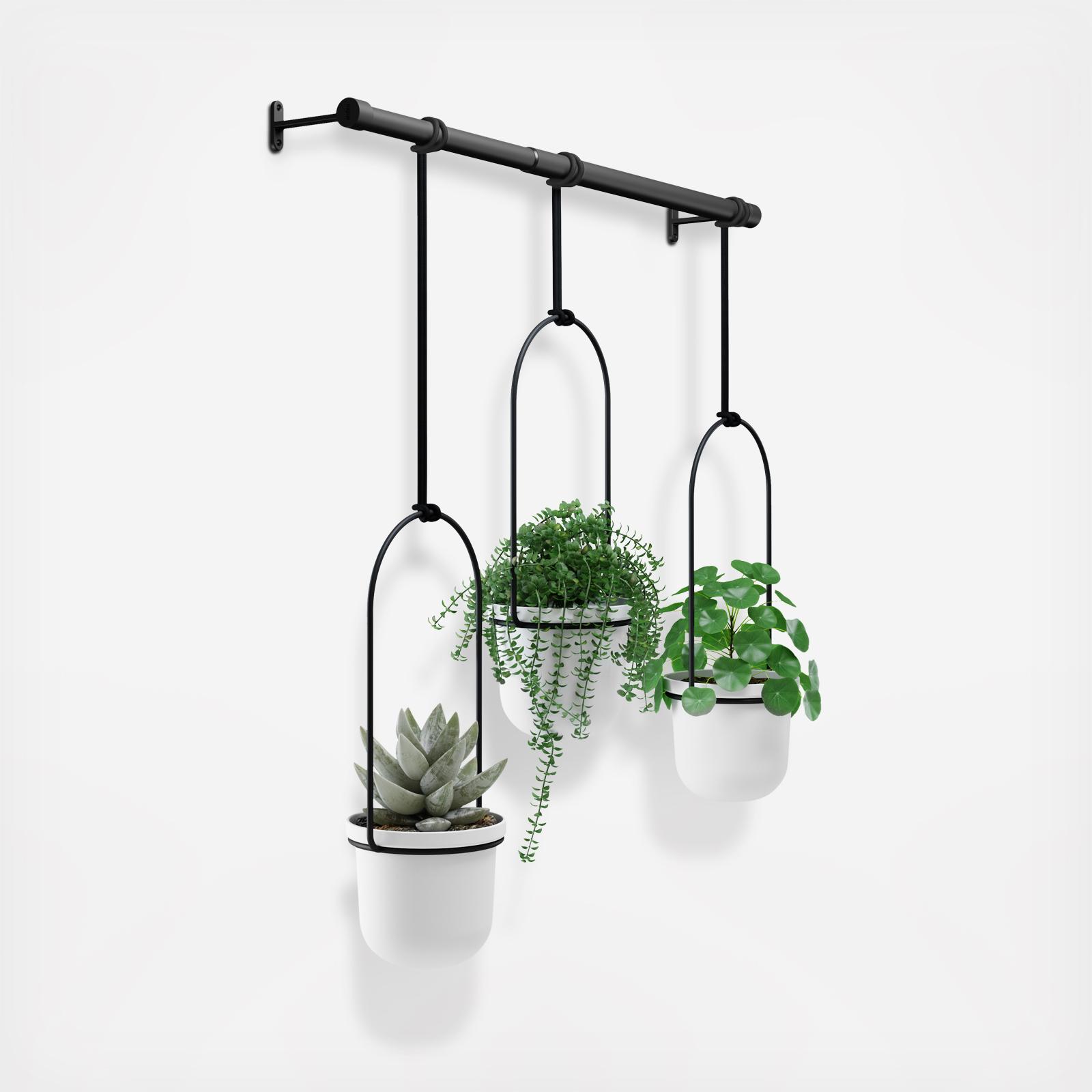 Triflora Hanging Planter White/Black - Umbra