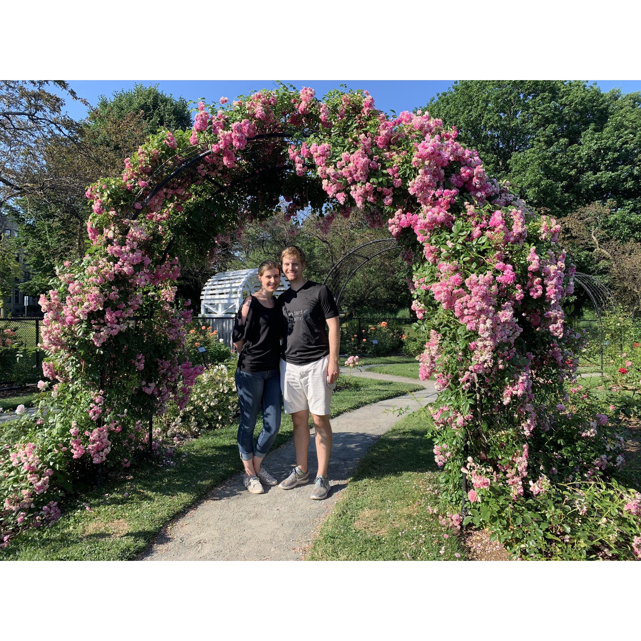At the Kelleher Rose Garden in Boston
2020