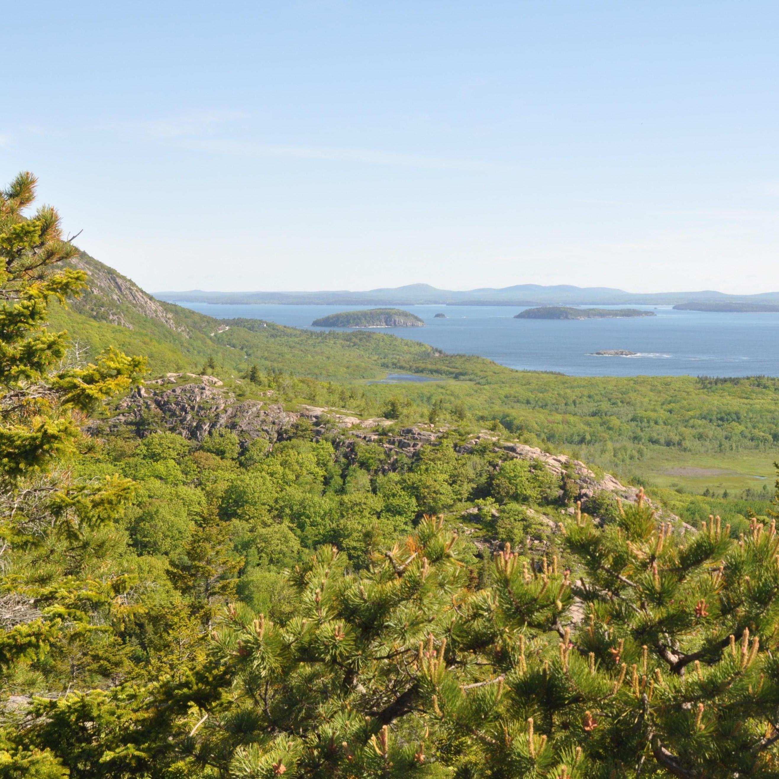 From the top of Beehive