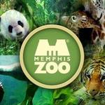 Memphis Zoo
