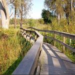 Tifft Nature Preserve