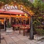 SUGARCANE raw bar grill
