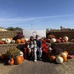 Country Apple Orchard & Christmas Tree Farm