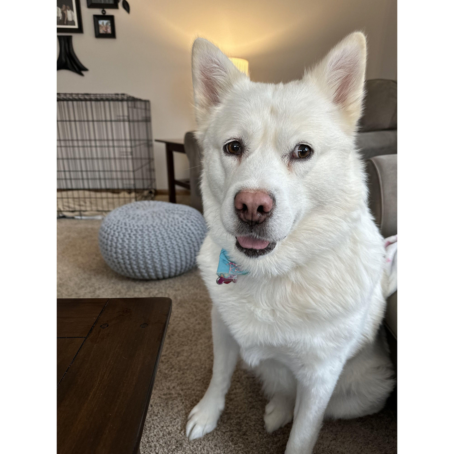 Our sweet Roxanne.