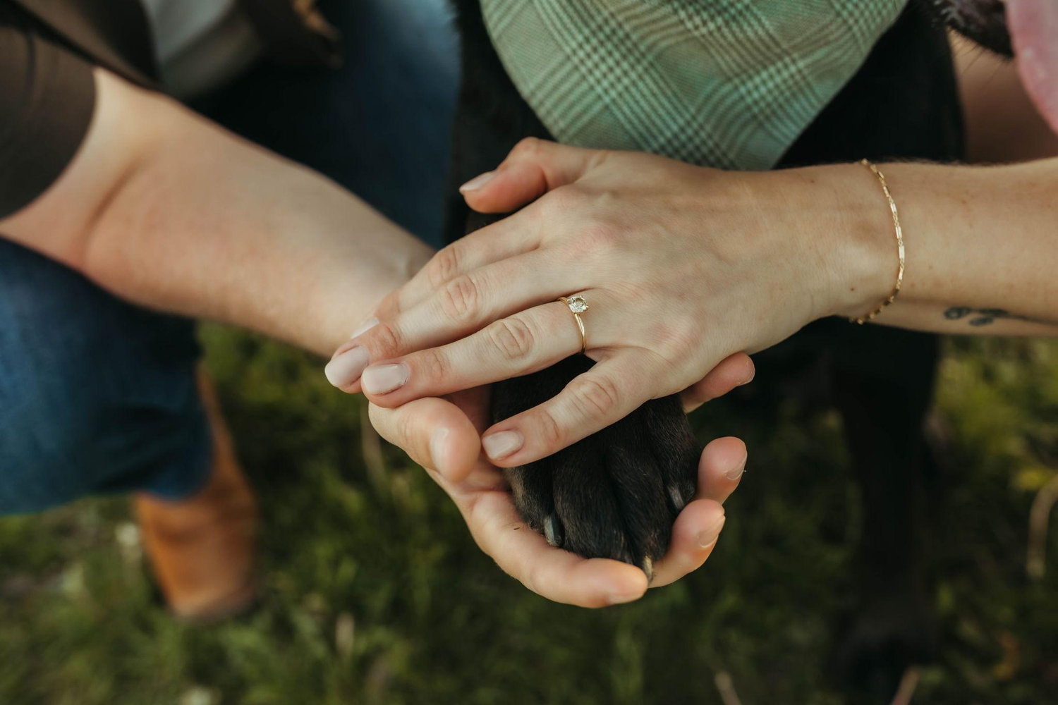 The Wedding Website of Michaela Kumer and John Kurtz