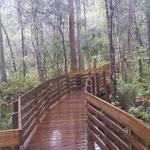 Lettuce Lake Park