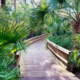 Walk and Explore the Island