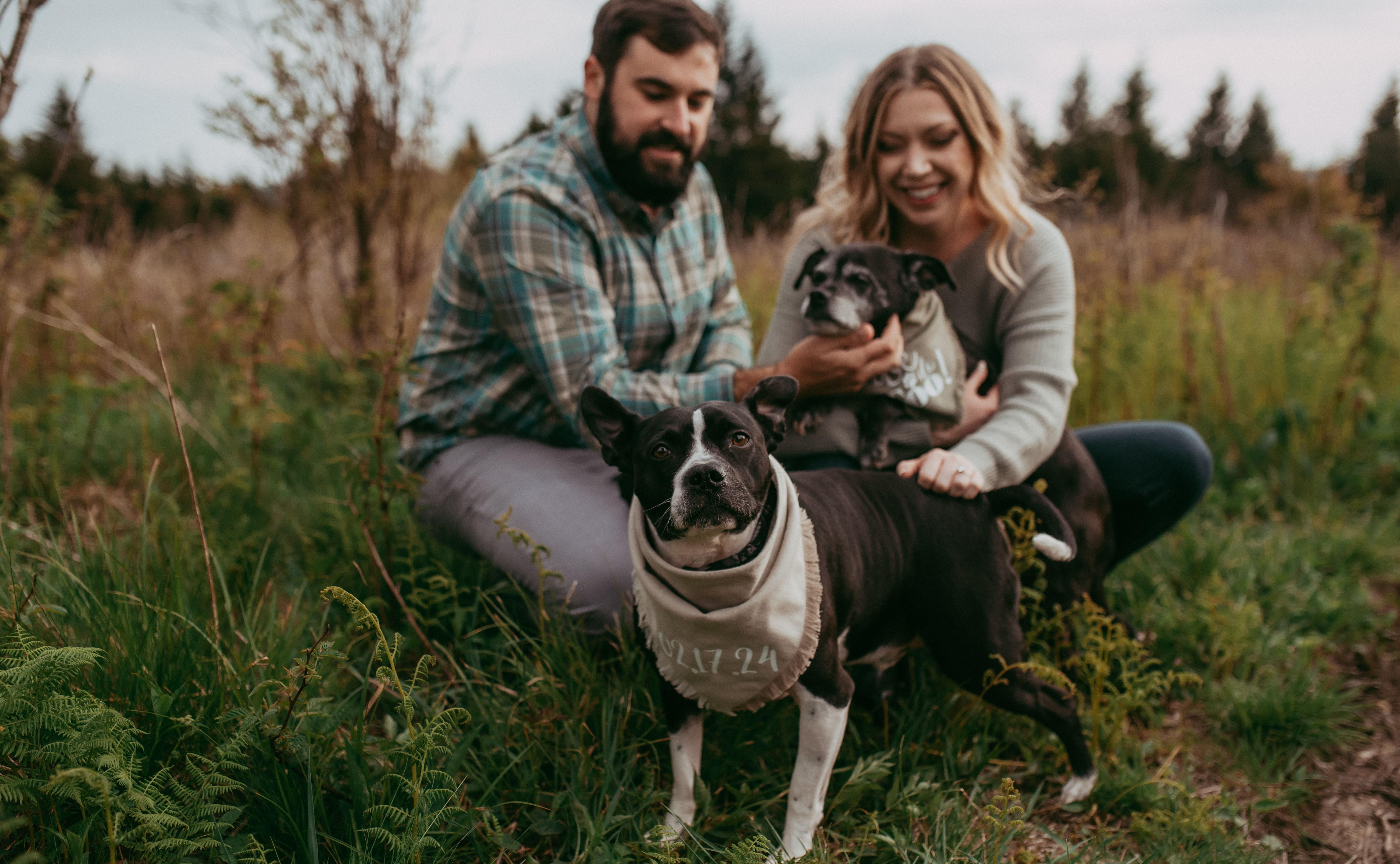 09f73b53-44f8-4732-8f8f-5bc6fe063fe3