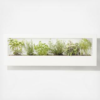 Landscape Growframe