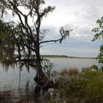 Blakeley State Park