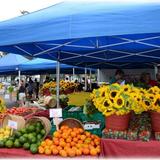 St. Petersburg Saturday Morning Market