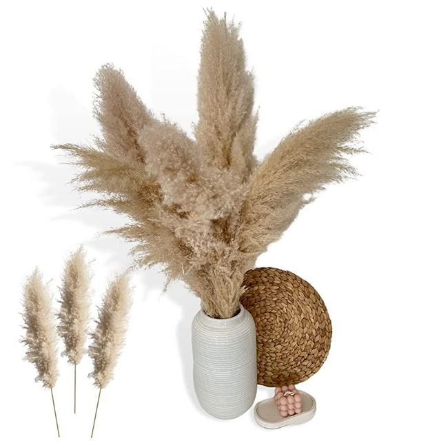 Maison Moderne Natural Pampas Grass Large - 4 Feet (Pack of 3) - Fluffy Dried Tall Pampas Grass Plumes (24-27 inch) - Bouquet Wedding Decor- Boho Decor