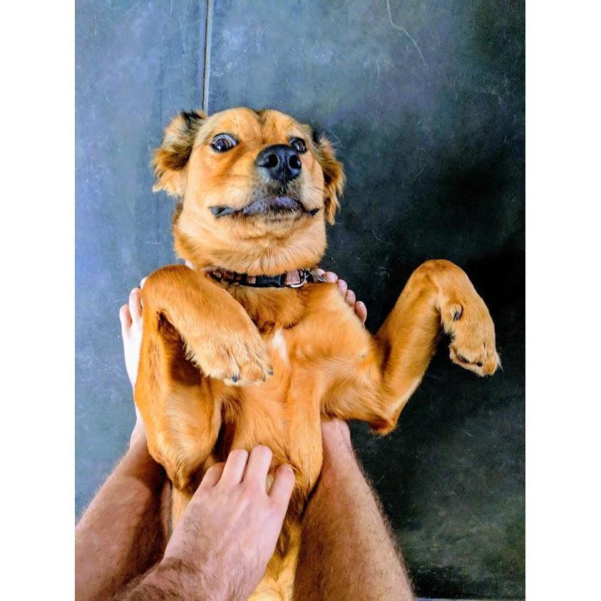 The lady of the house