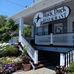 Black Duck On Sunset